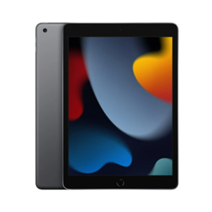 Apple iPad 9.Nesil 10.2" 256GB Wifi Uzay Grisi Tablet MK2N3TU/A